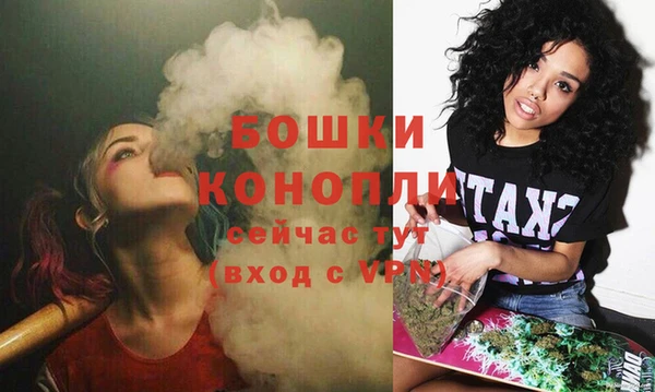крисы Протвино